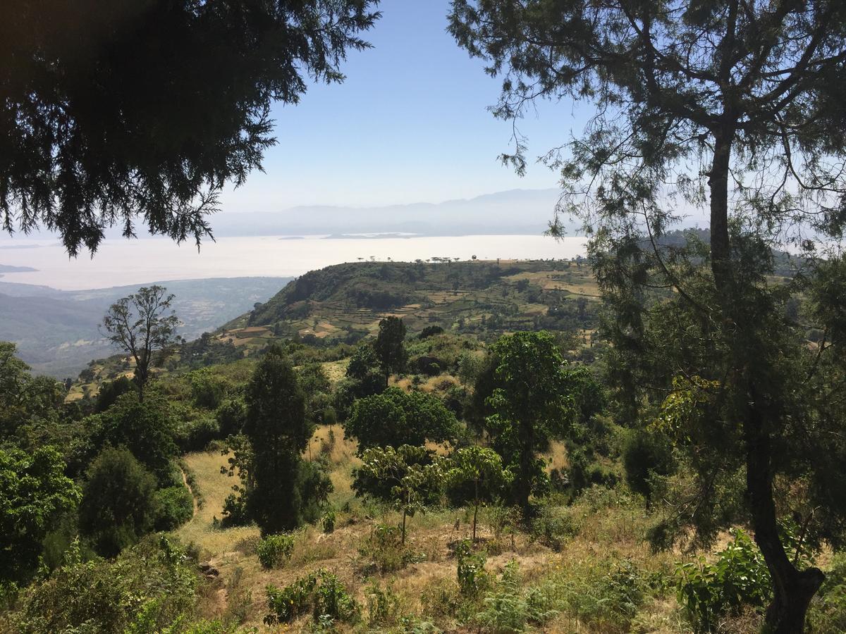 Dorze Lodge Arba Minch Exterior foto